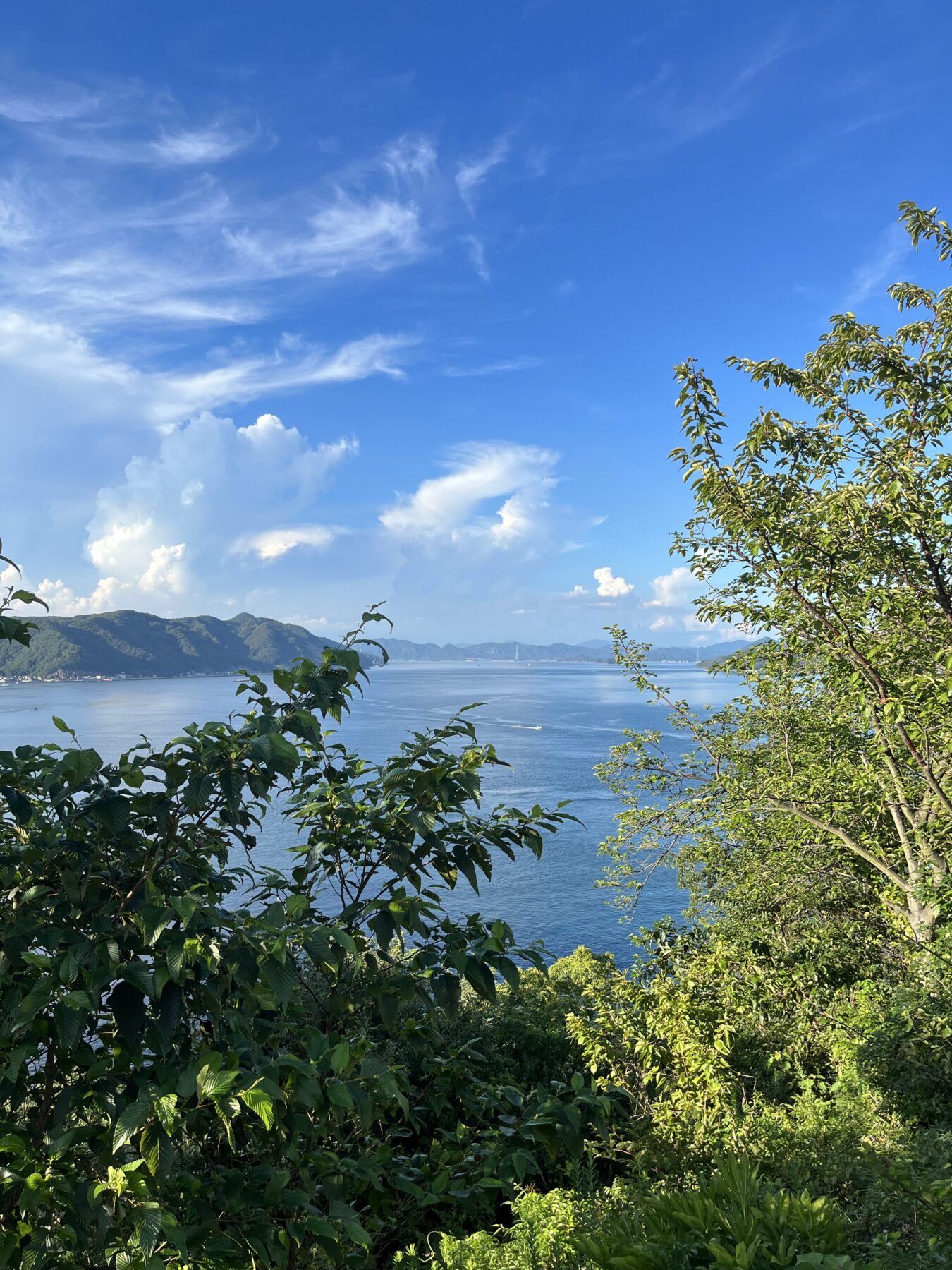 青い海とやさしい味に癒やされる【しまなみ海道】の魅力とは?島々を巡る旅へ